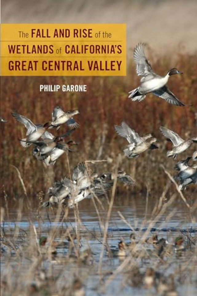The Fall and Rise of the Wetlands of California`s Great Central Valley
