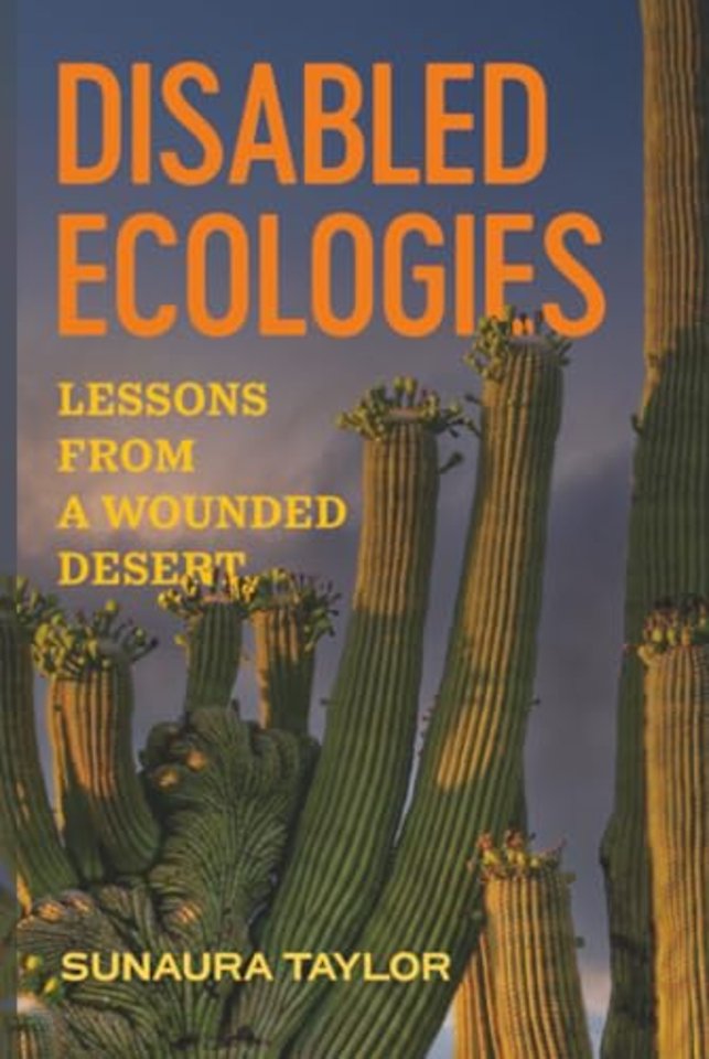 Disabled Ecologies – Lessons from a Wounded Desert