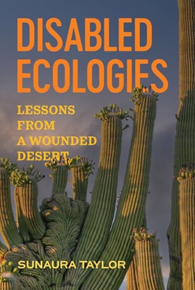Disabled Ecologies – Lessons from a Wounded Desert