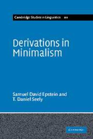 Derivations in Minimalism