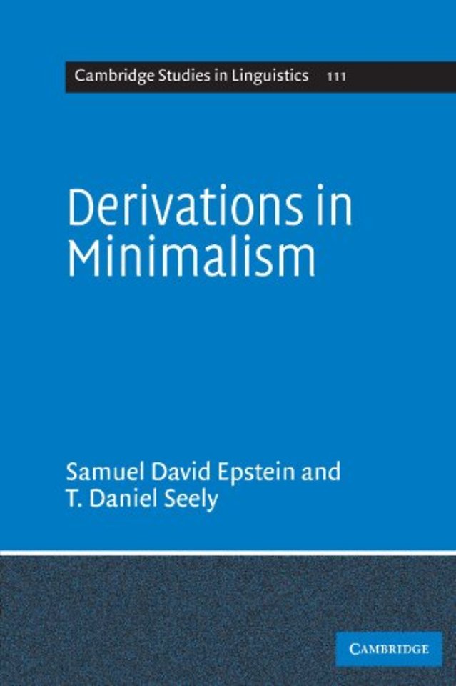 Derivations in Minimalism