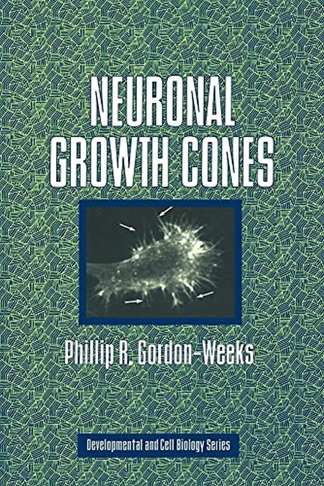 Neuronal Growth Cones