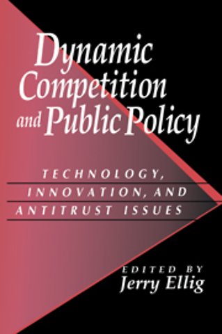 Dynamic Competition and Public Policy