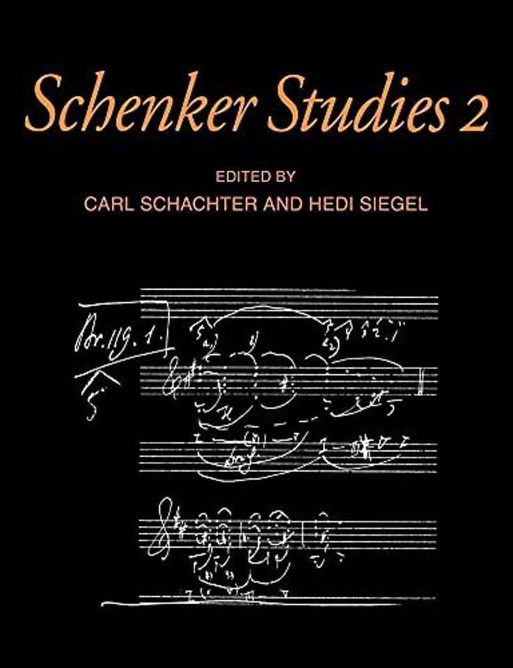 Schenker Studies 2