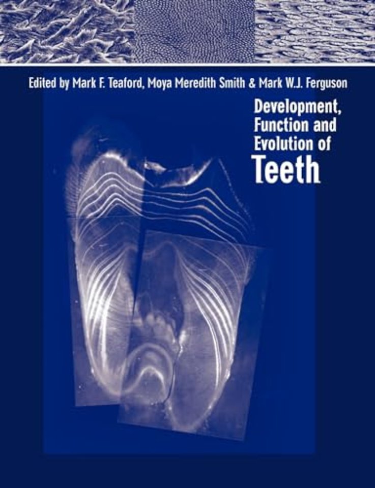 Development, Function and Evolution of Teeth