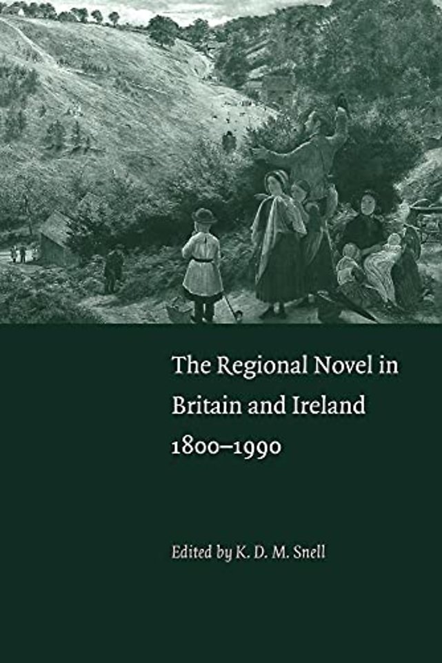 The Regional Novel in Britain and Ireland