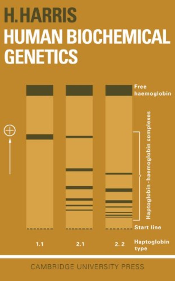 Human Biochemical Genetics