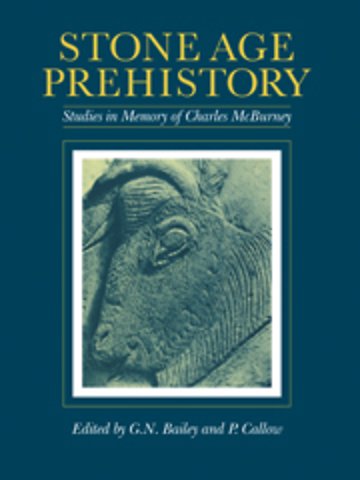 Stone Age Prehistory