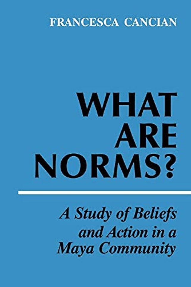 What Are Norms?