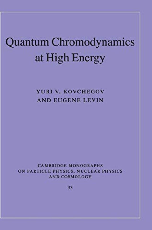 Quantum Chromodynamics at High Energy