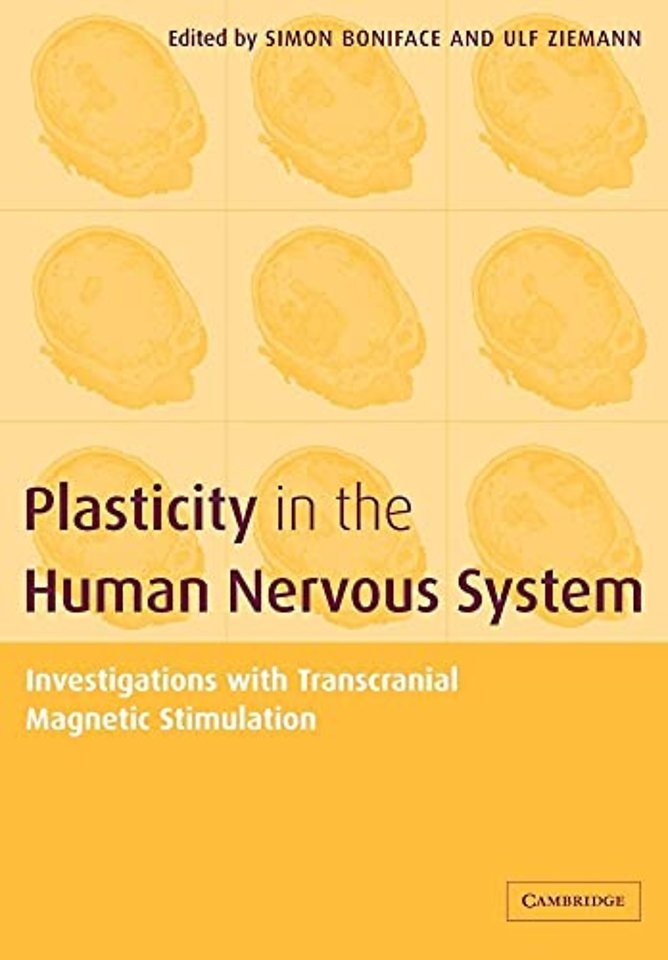 Plasticity in the Human Nervous System