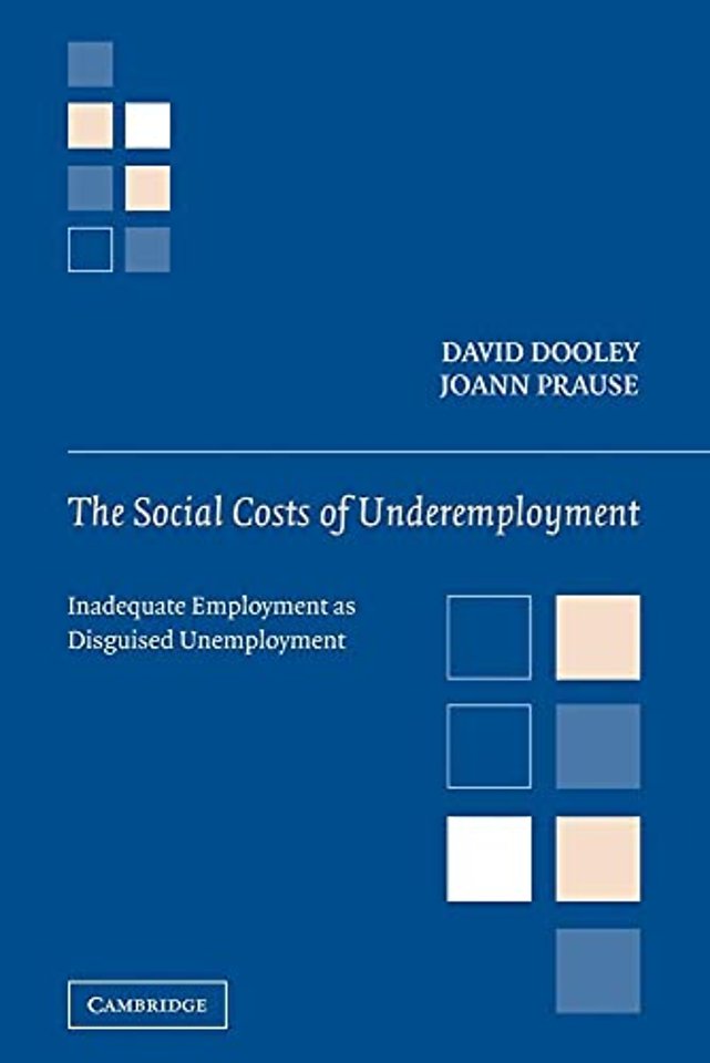 The Social Costs of Underemployment