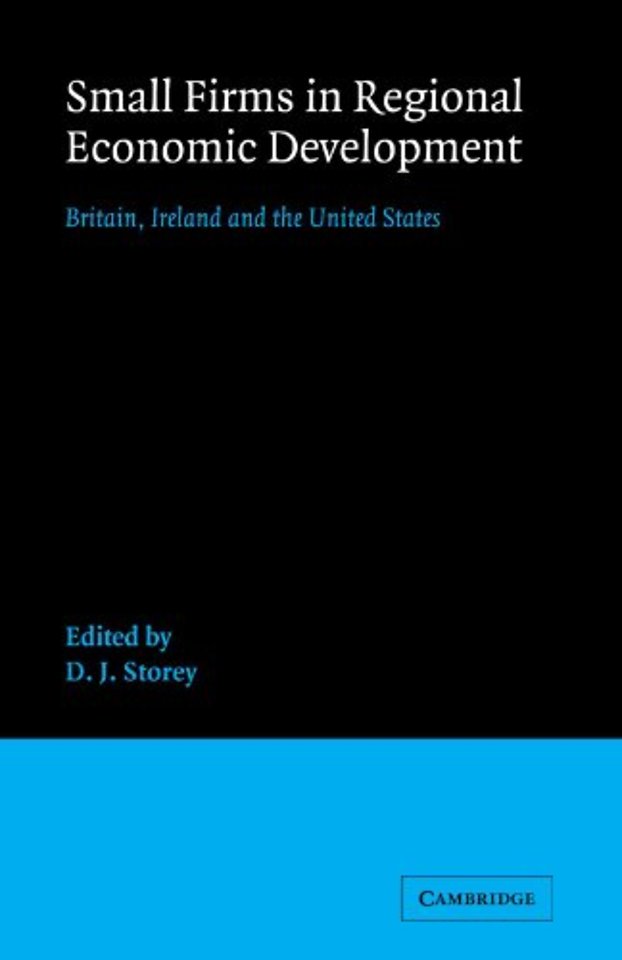 Small Firms in Regional Economic Development