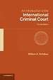 An Introduction to the International Criminal Court