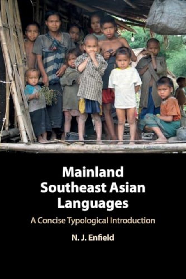 Mainland Southeast Asian Languages