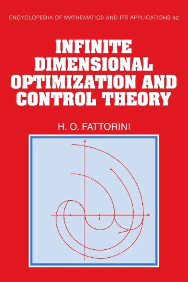 Infinite Dimensional Optimization and Control Theory
