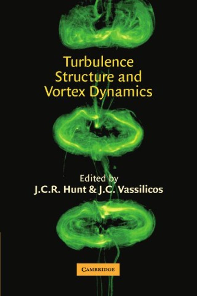 Turbulence Structure and Vortex Dynamics