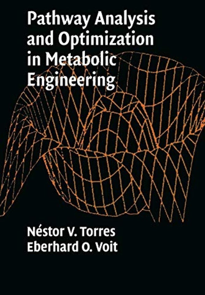 Pathway Analysis and Optimization in Metabolic Engineering