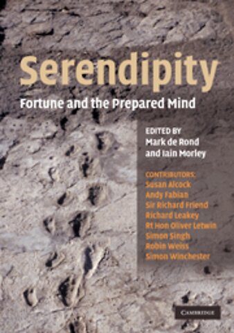 Serendipity