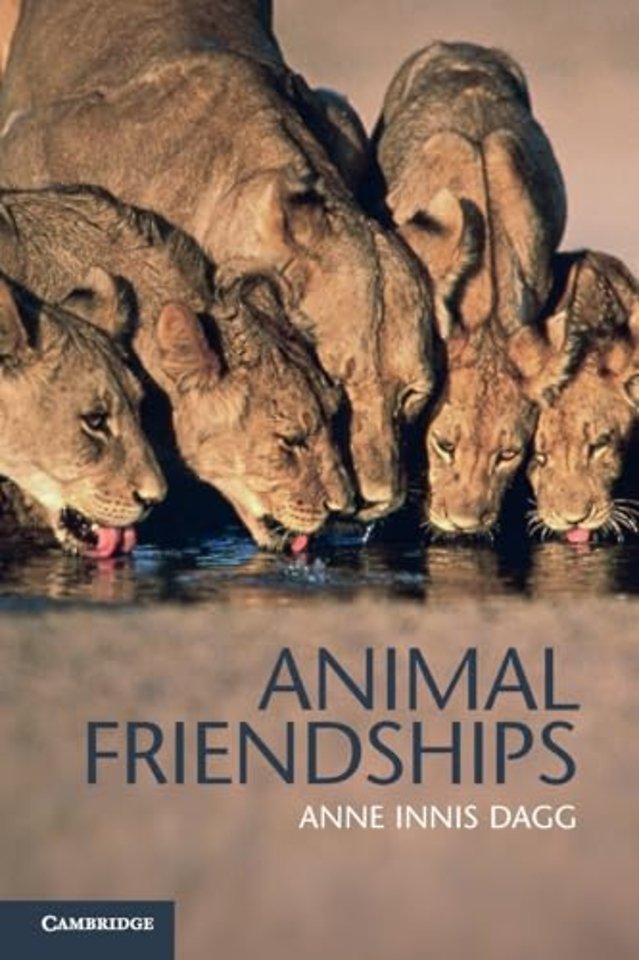 Animal Friendships