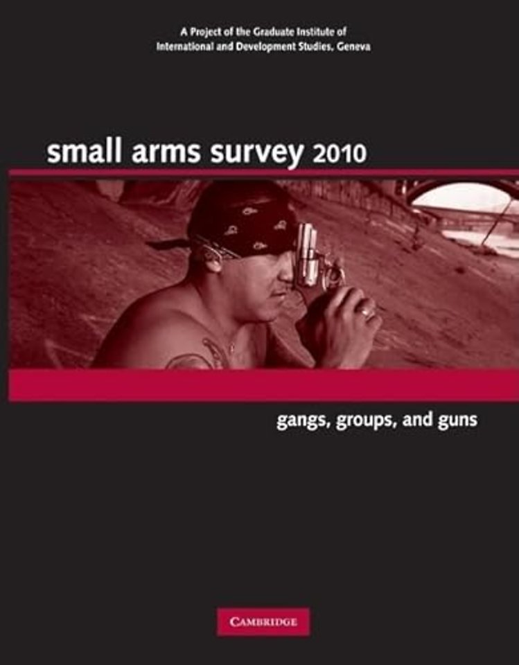Small Arms Survey 2010
