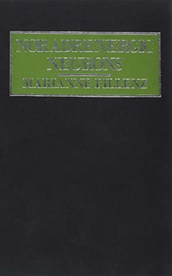 Noradrenergic Neurons