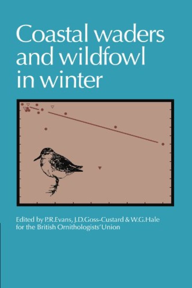 Coastal Waders and Wildfowl in Winter