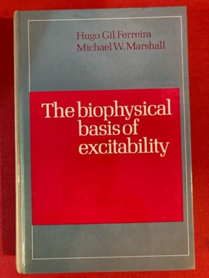 The Biophysical Basis of Excitability