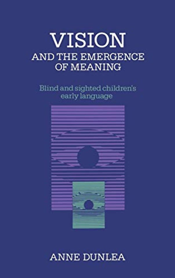 Vision and the Emergence of Meaning