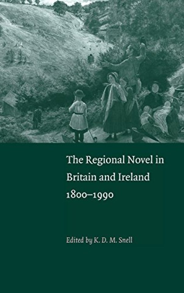 The Regional Novel in Britain and Ireland