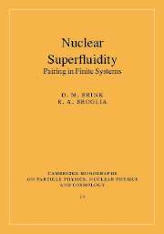 Nuclear Superfluidity