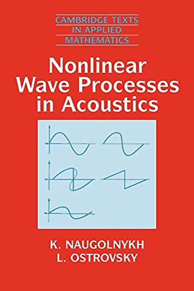 Nonlinear Wave Processes in Acoustics