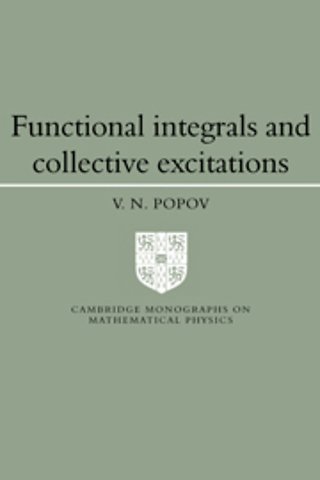 Functional Integrals and Collective Excitations