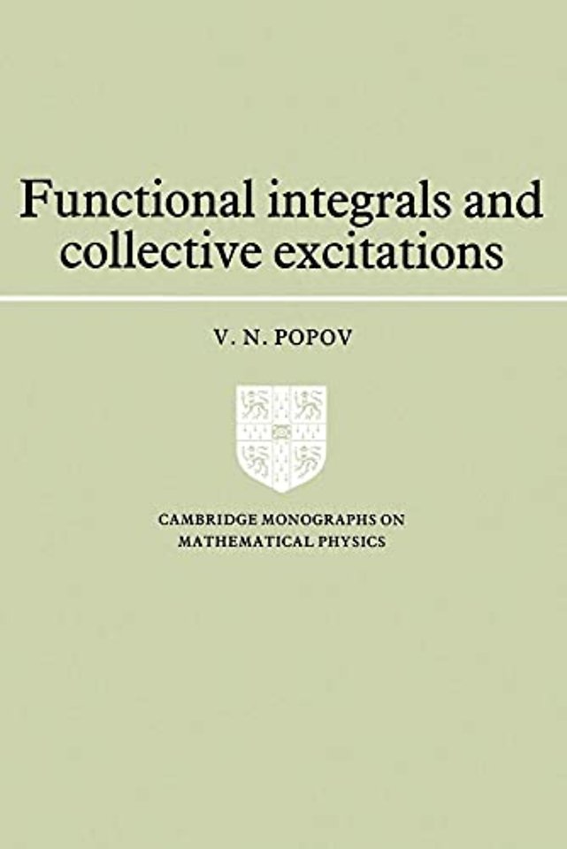 Functional Integrals and Collective Excitations