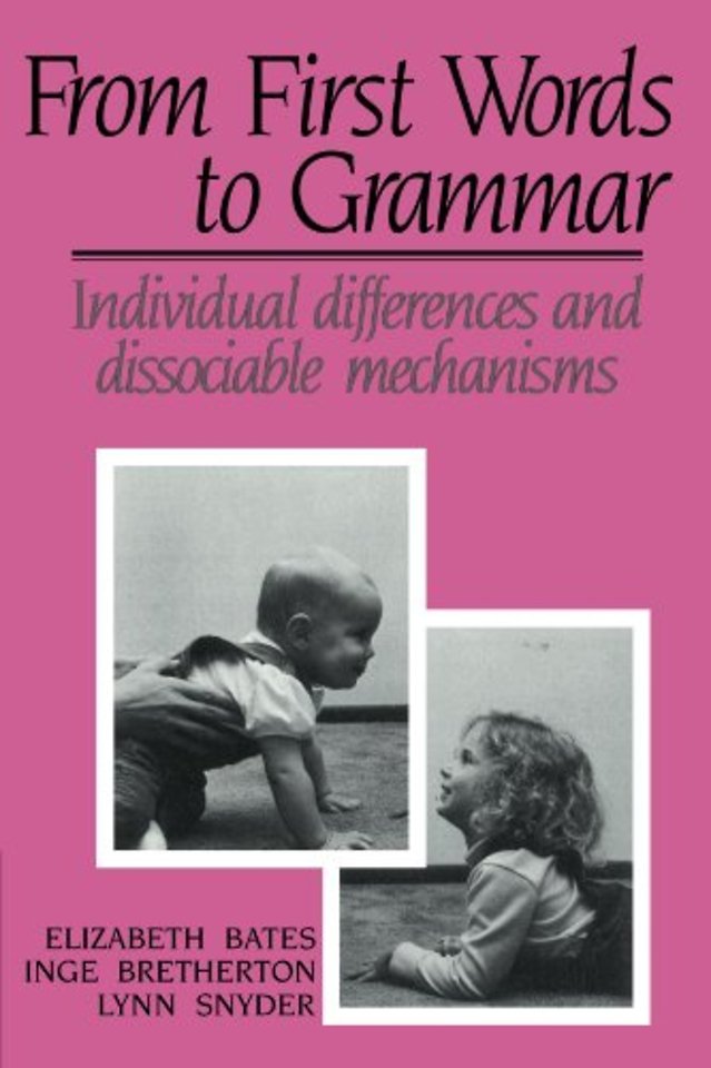 From First Words to Grammar