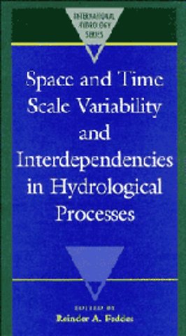 Space and Time Scale Variability and Interdependencies in Hydrological Processes