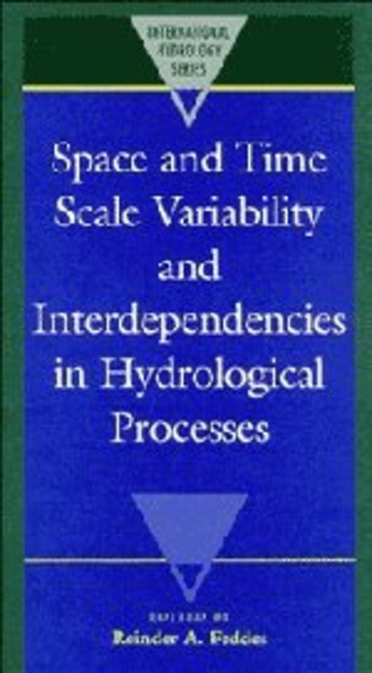 Space and Time Scale Variability and Interdependencies in Hydrological Processes
