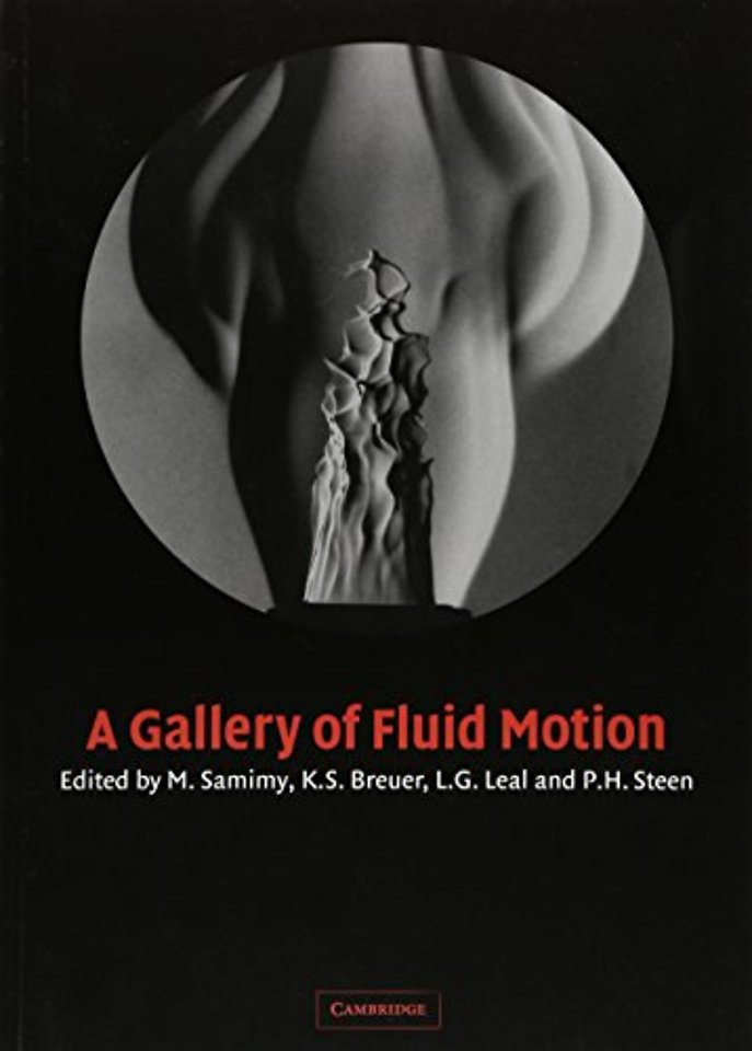 A Gallery of Fluid Motion