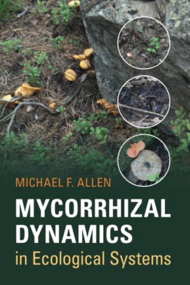 Mycorrhizal Dynamics in Ecological Systems