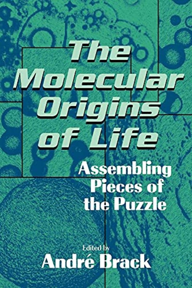 The Molecular Origins of Life