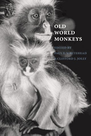 Old World Monkeys
