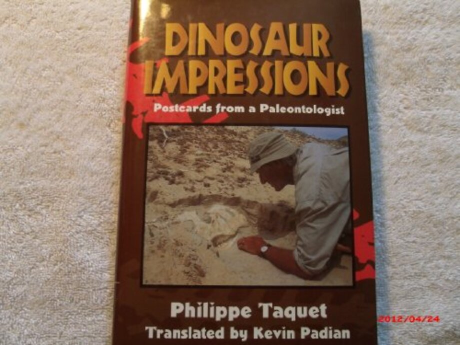 Dinosaur Impressions