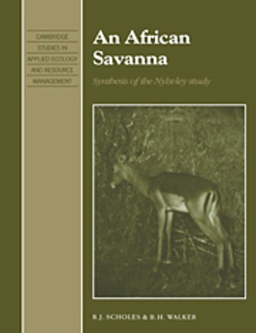 An African Savanna