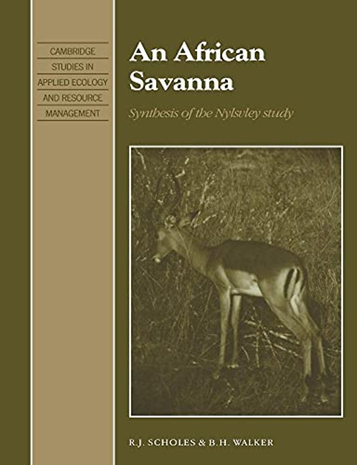 An African Savanna