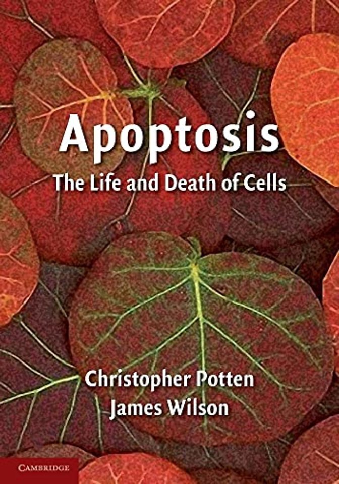 Apoptosis