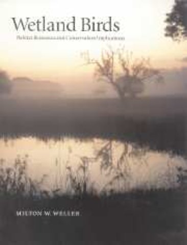 Wetland Birds