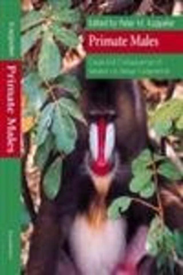 Primate Males