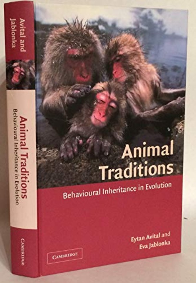 Animal Traditions