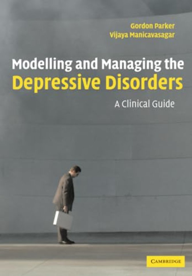 Modelling and Managing the Depressive Disorders