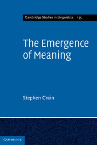 The Emergence of Meaning